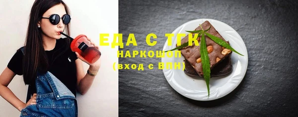 индика Балахна