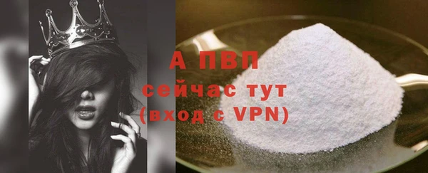 индика Балахна