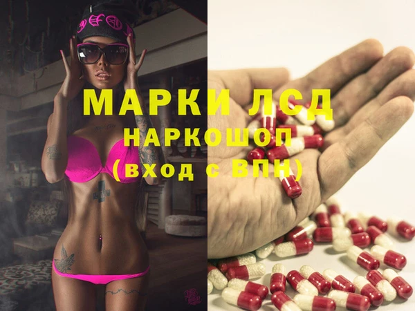 индика Балахна