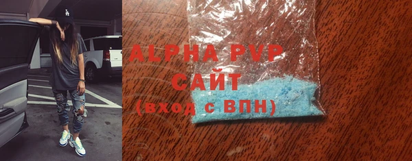 индика Балахна