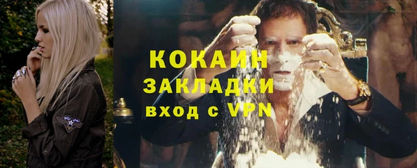 индика Балахна