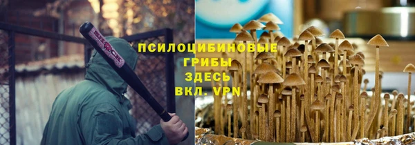 индика Балахна