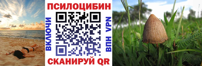 Псилоцибиновые грибы MAGIC MUSHROOMS Юрьев-Польский